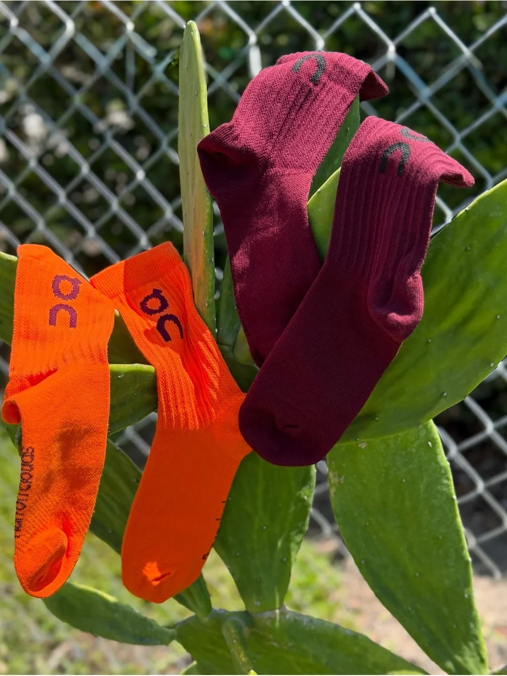 On Running Cloud Socks set of 2 Size Large in Bright Orange and Deep Burgundy